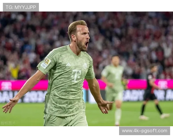 凯恩德甲22球领跑射手榜，战术角色多样化分析